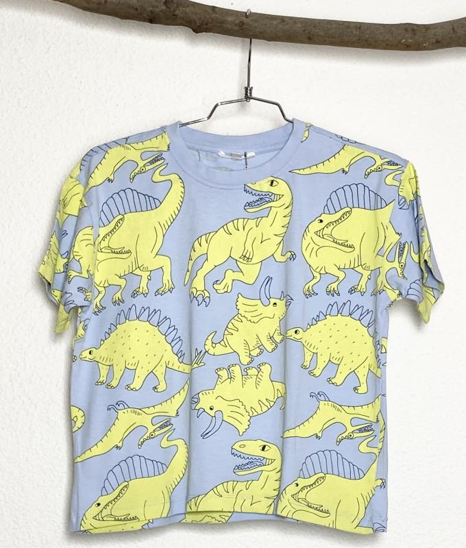 TShirt Garçon 6 ans