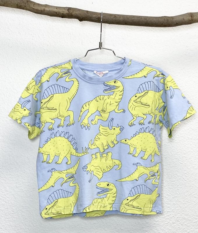 TShirt Garçon 6 ans