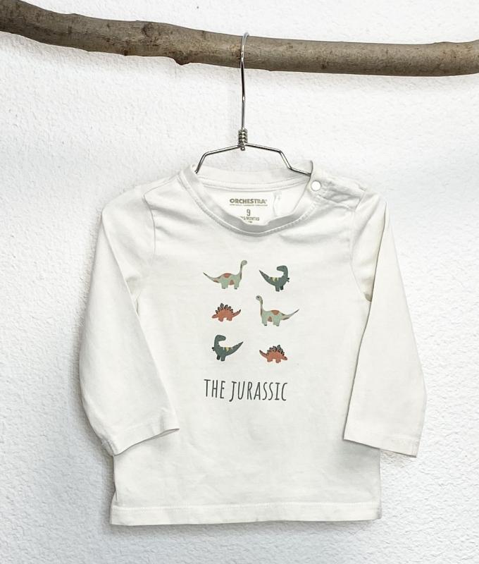 TShirt Garçon 9 mois