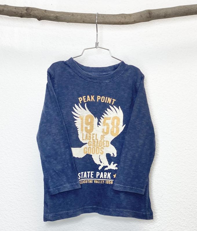 TShirt Garçon 4 ans