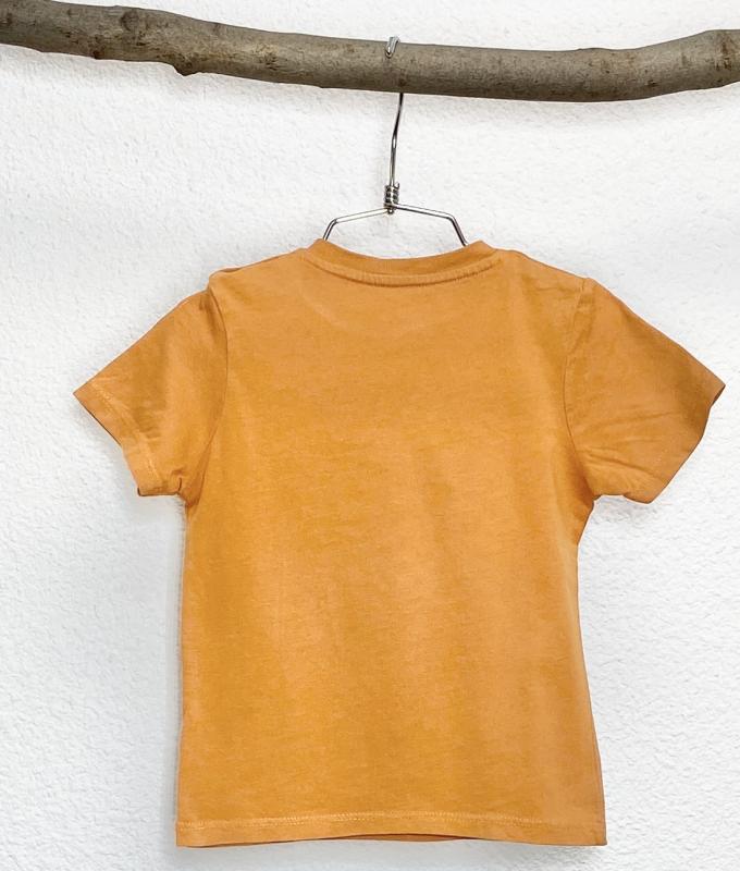 TShirt Garçon 18 mois